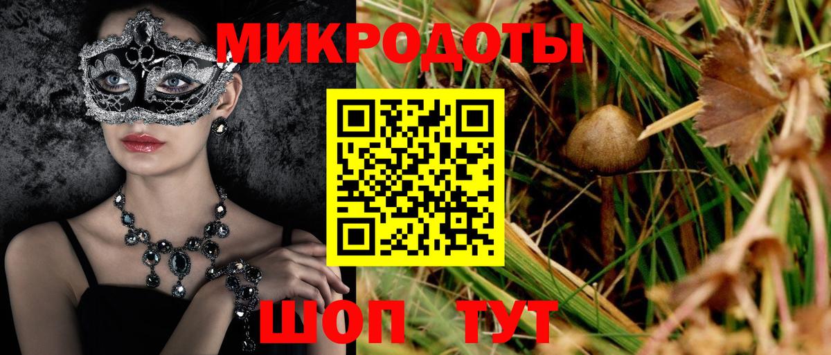 Семилуки  Галлюциногенные грибы ЛСД  Вход с VPN 
